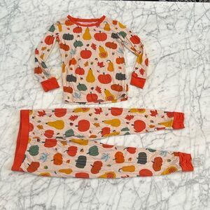 Little Sleepies Autumn Harvest 2 Piece Pajama Set 3T